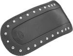 Mustang Fender Bib For Indian Chief Studs 78153. Fixed Price $57.00.