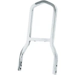 Harddrive Short Sissy Bar Chrome 086104. Fixed Price $159.26.