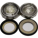 Balls Steering Bearing/seal Kit 22-1030. Fixed Price $62.39.