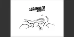 2020 Ducati Scrambler 1100 Pro And Sport Owners Manual. Fixed Price $45.99.
