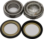 Balls 22-1005 Steering Stem Bearing Kit. Fixed Price $55.58.