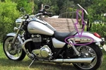 Triumph Thunderbird 1600 1700, Oem Rh/lh Mudguard Support Pressing, T2306348-49. Fixed Price $99.00.